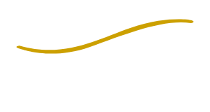 Light Logo